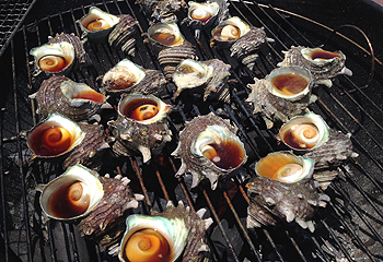 BBQ2014