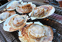 2018BBQ大会