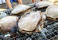 2018BBQ大会