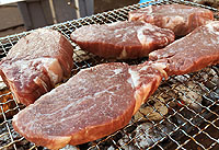 2018BBQ大会