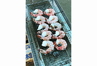 2018BBQ大会