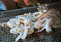 2018BBQ大会