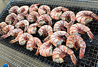 2017BBQ大会