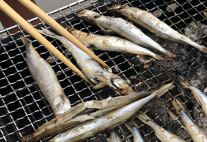 2019BBQ